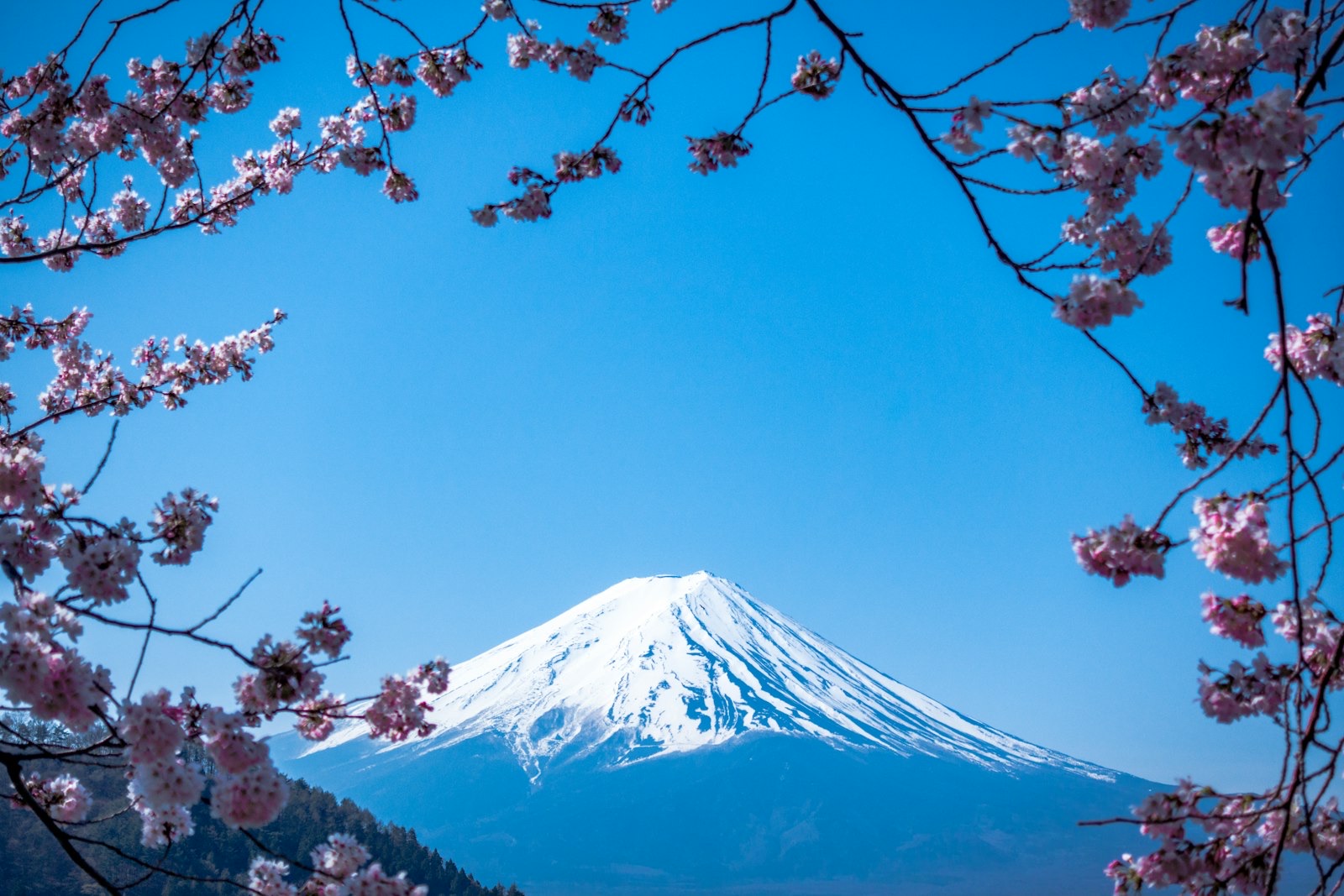 Japon